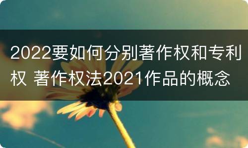 2022要如何分别著作权和专利权 著作权法2021作品的概念