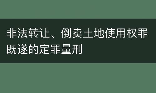 非法转让、倒卖土地使用权罪既遂的定罪量刑