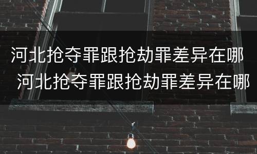 河北抢夺罪跟抢劫罪差异在哪 河北抢夺罪跟抢劫罪差异在哪查