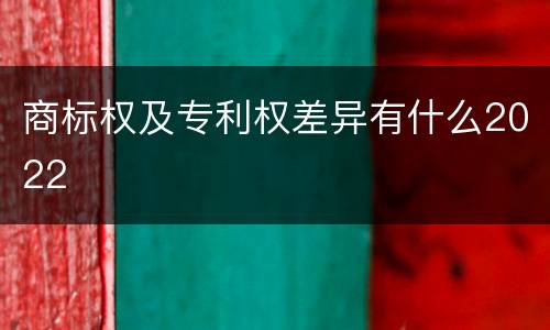 商标权及专利权差异有什么2022