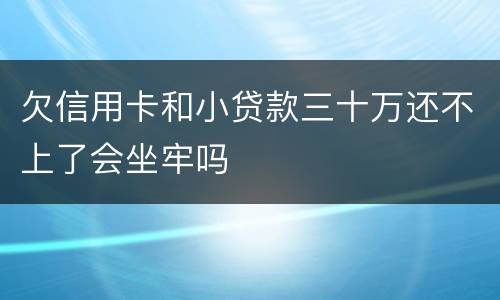 欠信用卡和小贷款三十万还不上了会坐牢吗