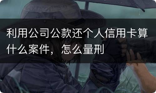 利用公司公款还个人信用卡算什么案件，怎么量刑