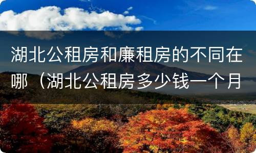 湖北公租房和廉租房的不同在哪（湖北公租房多少钱一个月）