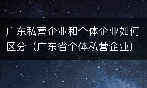 广东私营企业和个体企业如何区分（广东省个体私营企业）