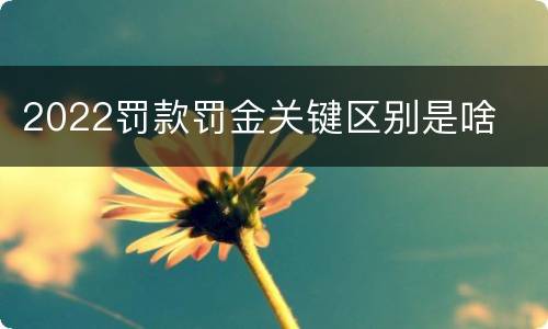 2022罚款罚金关键区别是啥