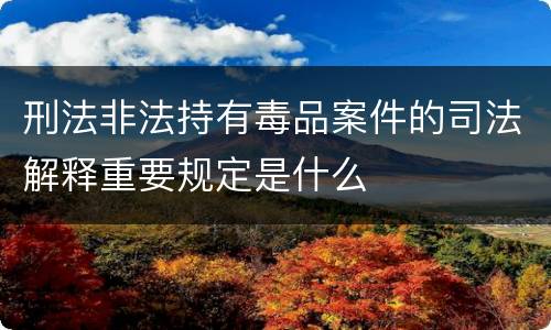 刑法非法持有毒品案件的司法解释重要规定是什么