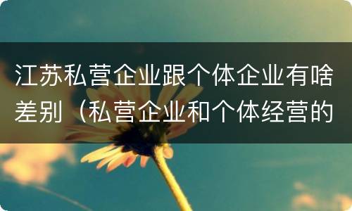 江苏私营企业跟个体企业有啥差别（私营企业和个体经营的区别）