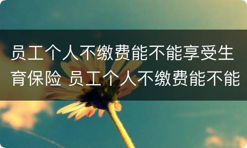 员工个人不缴费能不能享受生育保险 员工个人不缴费能不能享受生育保险政策