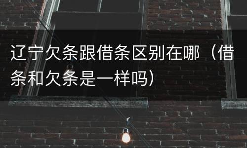 辽宁欠条跟借条区别在哪（借条和欠条是一样吗）