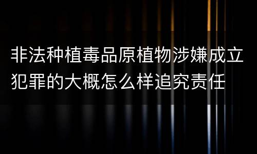 非法种植毒品原植物涉嫌成立犯罪的大概怎么样追究责任