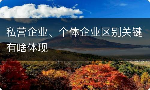 私营企业、个体企业区别关键有啥体现