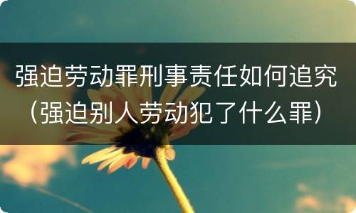 强迫劳动罪刑事责任如何追究（强迫别人劳动犯了什么罪）