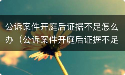 公诉案件开庭后证据不足怎么办（公诉案件开庭后证据不足怎么办理）