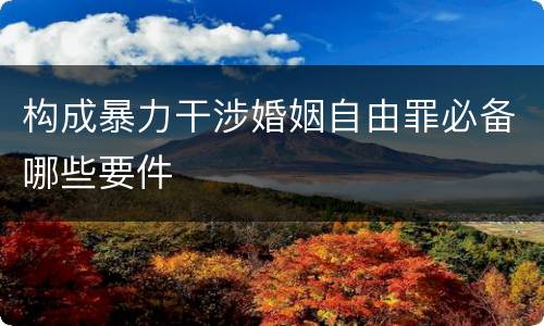 构成暴力干涉婚姻自由罪必备哪些要件