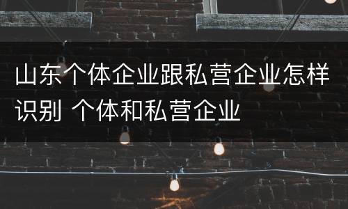 山东个体企业跟私营企业怎样识别 个体和私营企业