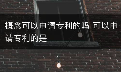 概念可以申请专利的吗 可以申请专利的是