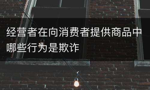 经营者在向消费者提供商品中哪些行为是欺诈