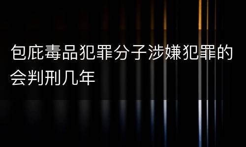 包庇毒品犯罪分子涉嫌犯罪的会判刑几年