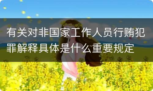 有关对非国家工作人员行贿犯罪解释具体是什么重要规定