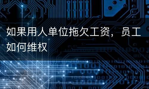 如果用人单位拖欠工资，员工如何维权