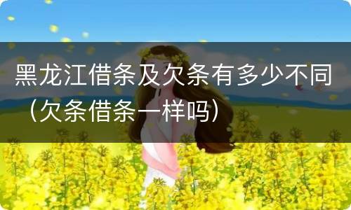黑龙江借条及欠条有多少不同（欠条借条一样吗）