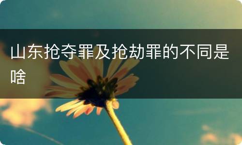 山东抢夺罪及抢劫罪的不同是啥