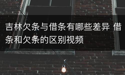吉林欠条与借条有哪些差异 借条和欠条的区别视频