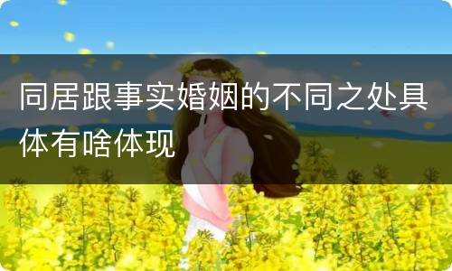 同居跟事实婚姻的不同之处具体有啥体现