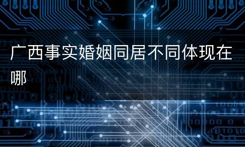 广西事实婚姻同居不同体现在哪