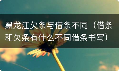 黑龙江欠条与借条不同（借条和欠条有什么不同借条书写）