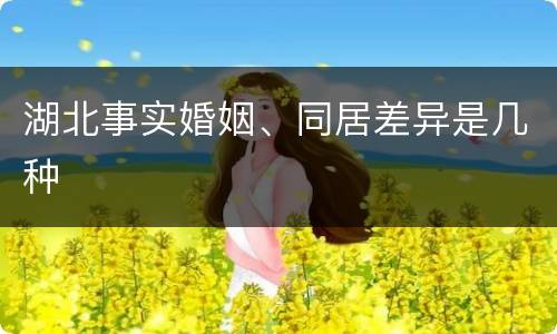 湖北事实婚姻、同居差异是几种