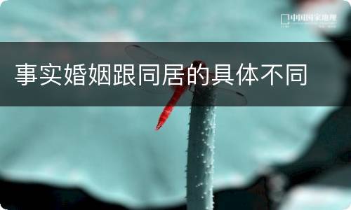 事实婚姻跟同居的具体不同