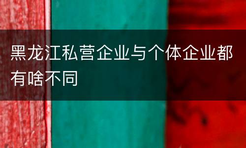 黑龙江私营企业与个体企业都有啥不同