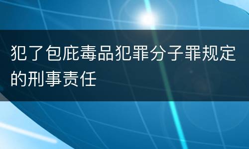 犯了包庇毒品犯罪分子罪规定的刑事责任