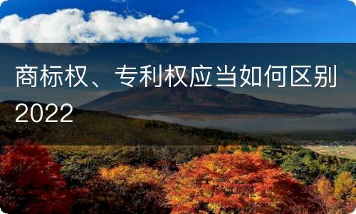 商标权、专利权应当如何区别2022