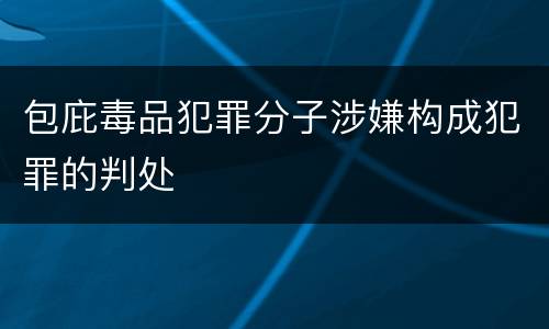 包庇毒品犯罪分子涉嫌构成犯罪的判处