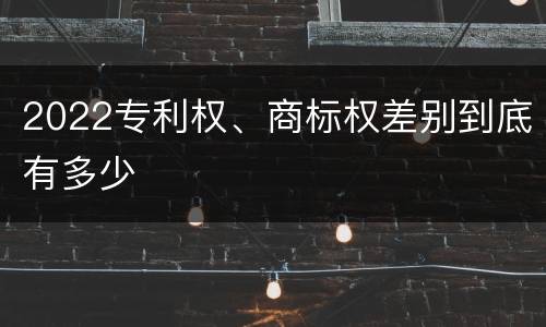 2022专利权、商标权差别到底有多少