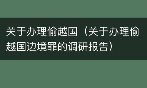 关于办理偷越国（关于办理偷越国边境罪的调研报告）