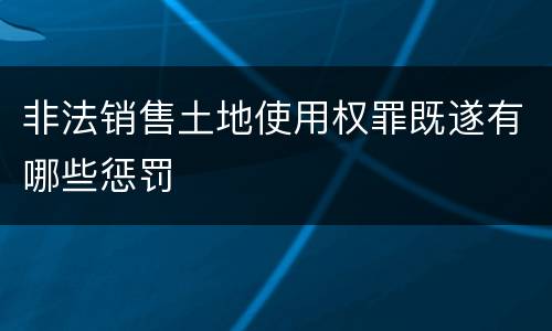 非法销售土地使用权罪既遂有哪些惩罚