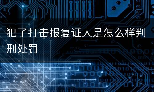 犯了打击报复证人是怎么样判刑处罚