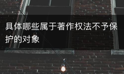 具体哪些属于著作权法不予保护的对象