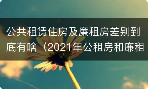 公共租赁住房及廉租房差别到底有啥（2021年公租房和廉租房有什么区别）