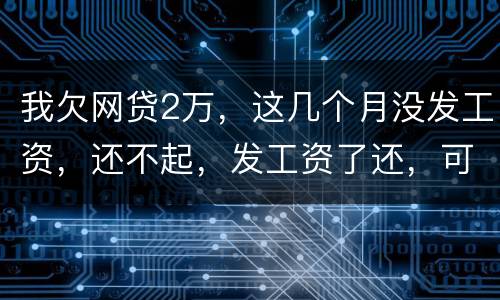 我欠网贷2万，这几个月没发工资，还不起，发工资了还，可以吗