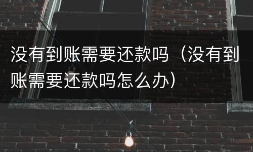 没有到账需要还款吗（没有到账需要还款吗怎么办）