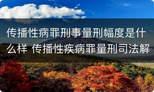 传播性病罪刑事量刑幅度是什么样 传播性疾病罪量刑司法解释