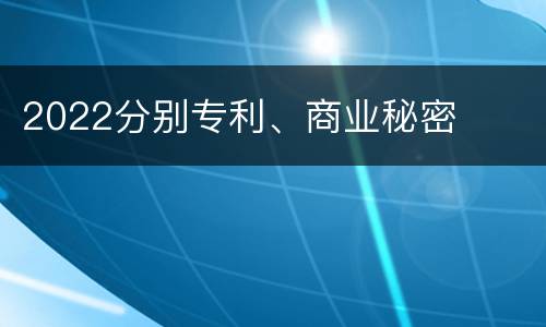 2022分别专利、商业秘密