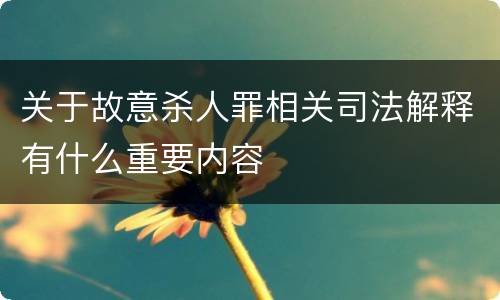 关于故意杀人罪相关司法解释有什么重要内容