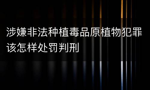 涉嫌非法种植毒品原植物犯罪该怎样处罚判刑