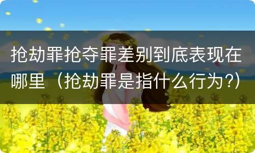 抢劫罪抢夺罪差别到底表现在哪里（抢劫罪是指什么行为?）