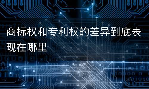 商标权和专利权的差异到底表现在哪里